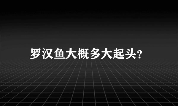 罗汉鱼大概多大起头？