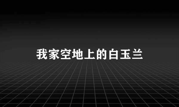 我家空地上的白玉兰
