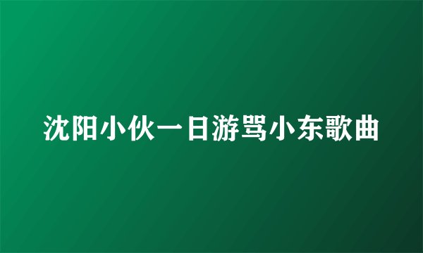 沈阳小伙一日游骂小东歌曲