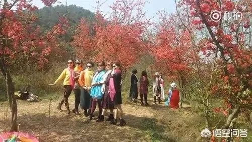 阿姨们照相带7条丝巾挪10次地方,丝巾墨镜成妈妈拍照必备,你的妈妈爱拍丝巾照吗?