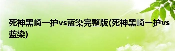 死神黑崎一护vs蓝染完整版(死神黑崎一护vs蓝染)