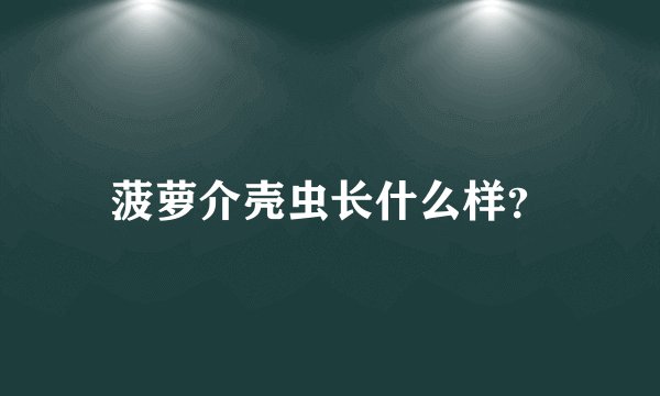 菠萝介壳虫长什么样？