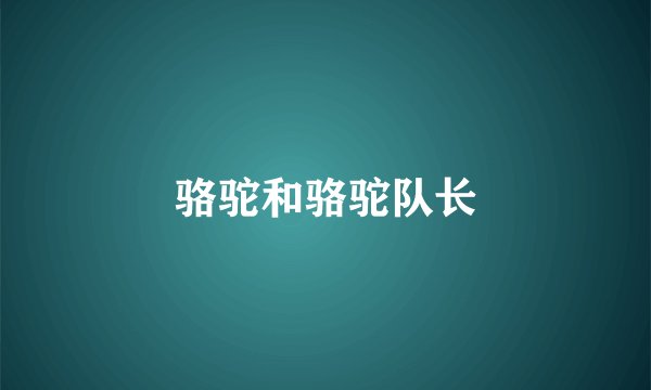 骆驼和骆驼队长
