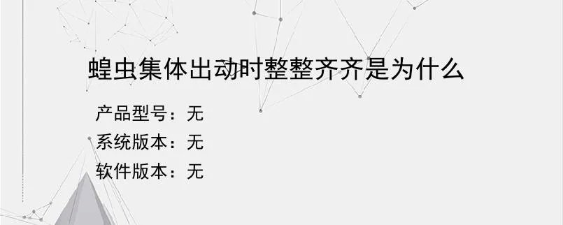 蝗虫集体出动时整整齐齐是为什么