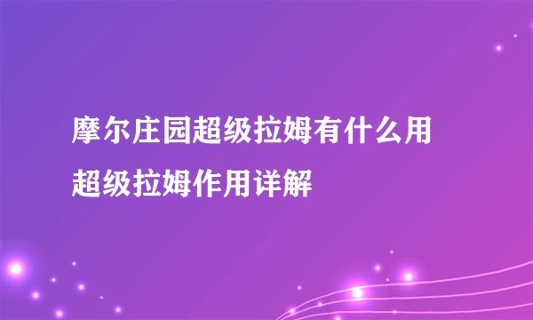 摩尔庄园超级拉姆有什么用 超级拉姆作用详解