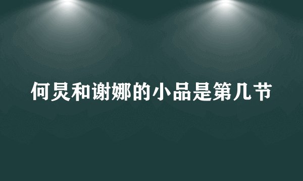 何炅和谢娜的小品是第几节