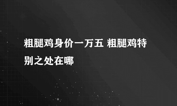 粗腿鸡身价一万五 粗腿鸡特别之处在哪