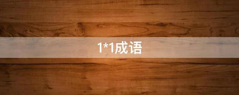 1*1成语