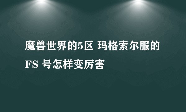 魔兽世界的5区 玛格索尔服的FS 号怎样变厉害