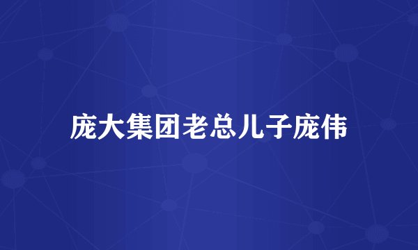 庞大集团老总儿子庞伟