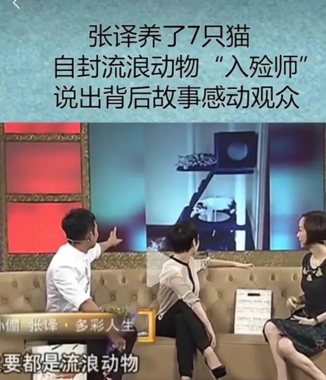 杨晓芸骗捐