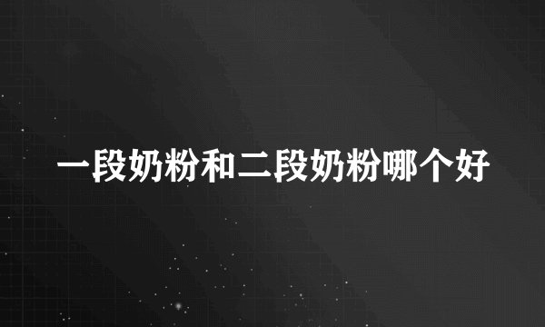 一段奶粉和二段奶粉哪个好
