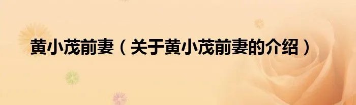 黄小茂前妻（关于黄小茂前妻的介绍）
