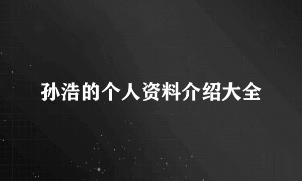 孙浩的个人资料介绍大全