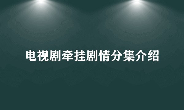 电视剧牵挂剧情分集介绍