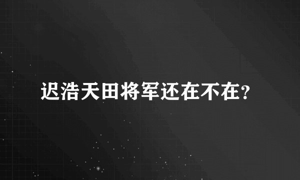 迟浩天田将军还在不在？