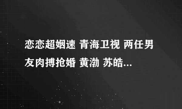 恋恋超姻速 青海卫视 两任男友肉搏抢婚 黄渤 苏皓的那期 蓉蓉 是干什么的 在哪做主持人的 能说具体一点不