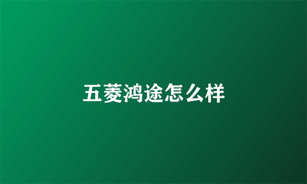 五菱鸿途怎么样