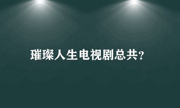 璀璨人生电视剧总共？