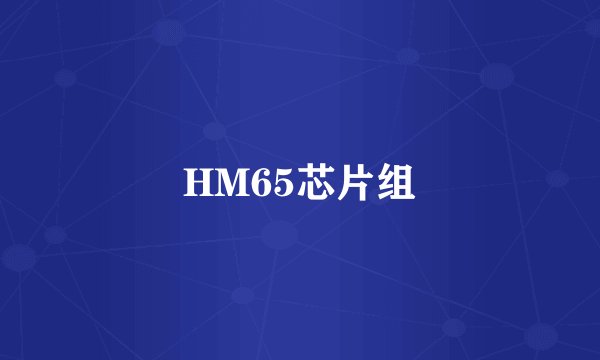 HM65芯片组
