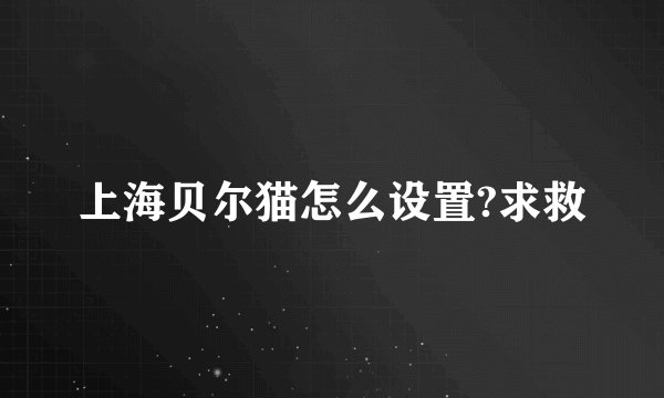 上海贝尔猫怎么设置?求救