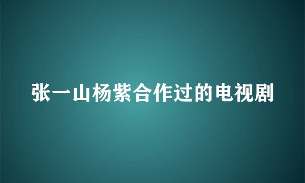 张一山杨紫合作过的电视剧