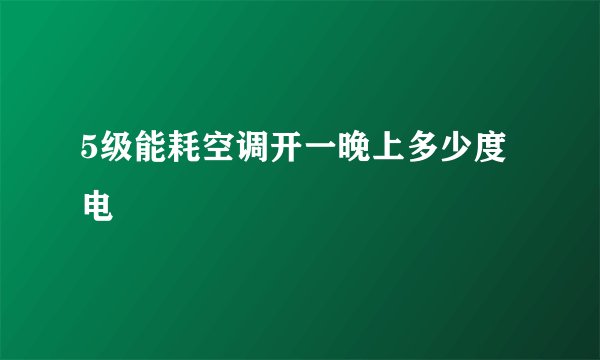 5级能耗空调开一晚上多少度电
