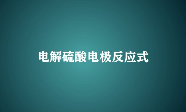 电解硫酸电极反应式