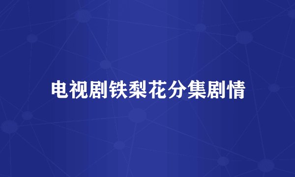 电视剧铁梨花分集剧情