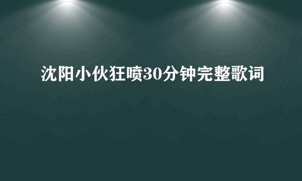沈阳小伙狂喷30分钟完整歌词