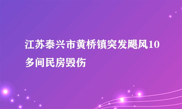 江苏泰兴市黄桥镇突发飓风10多间民房毁伤