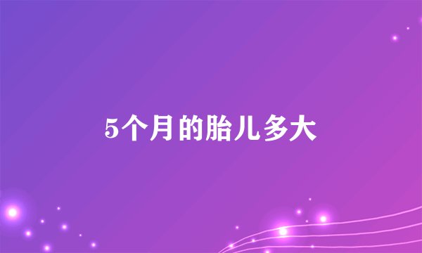 5个月的胎儿多大