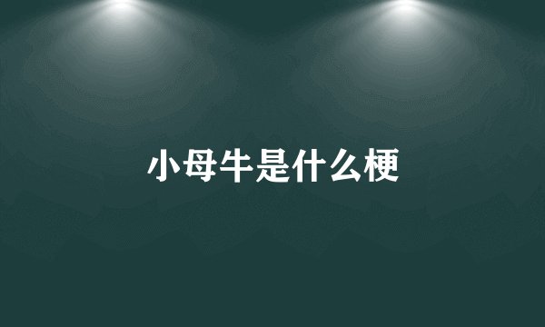 小母牛是什么梗