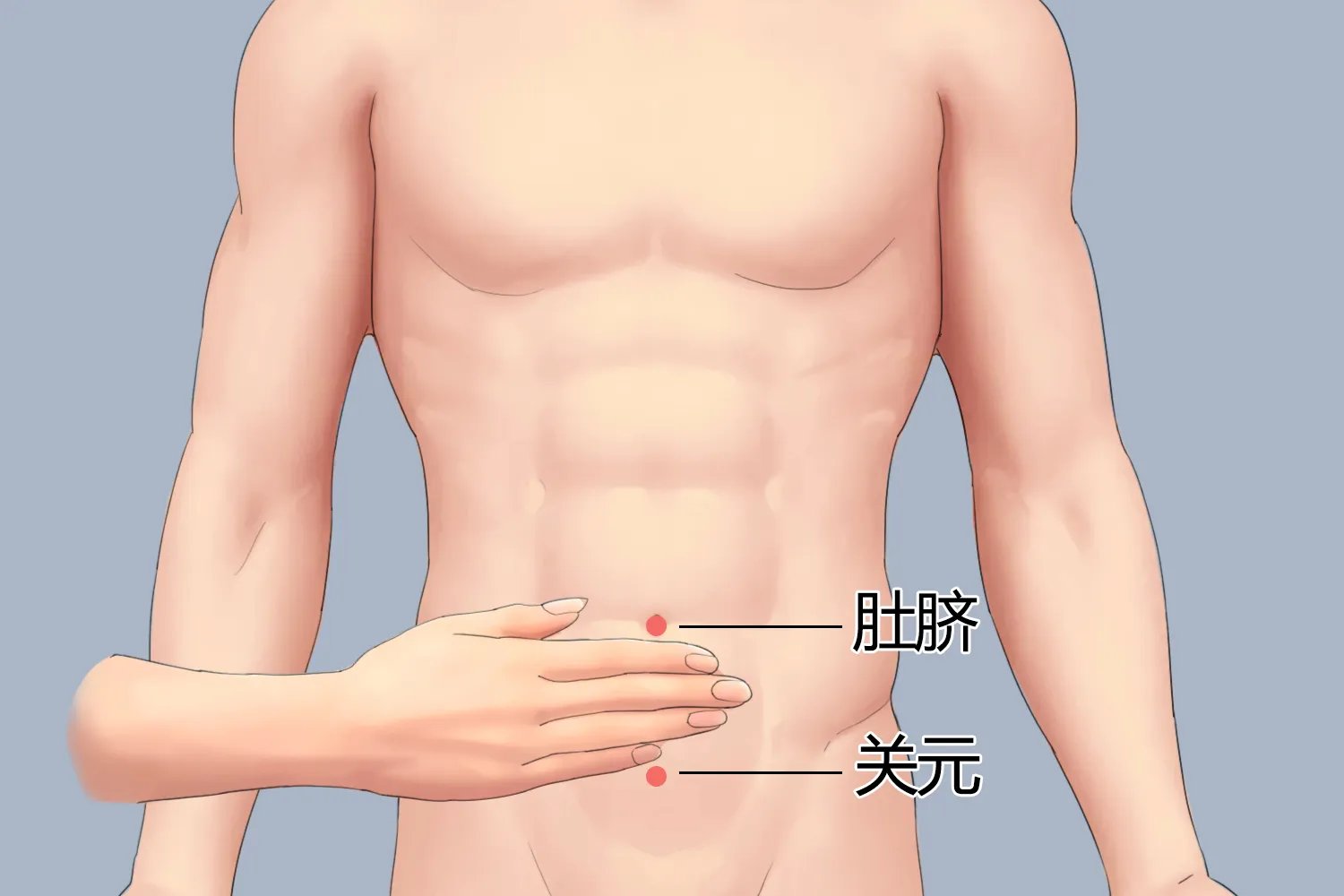 关元位置与作用和功效