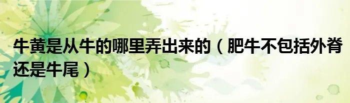 牛黄是从牛的哪里弄出来的（肥牛不包括外脊还是牛尾）