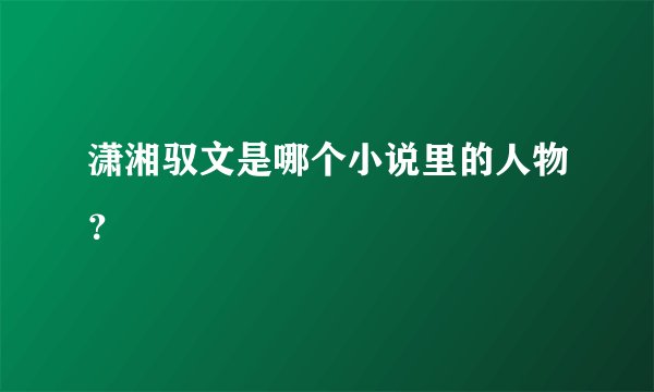 潇湘驭文是哪个小说里的人物？
