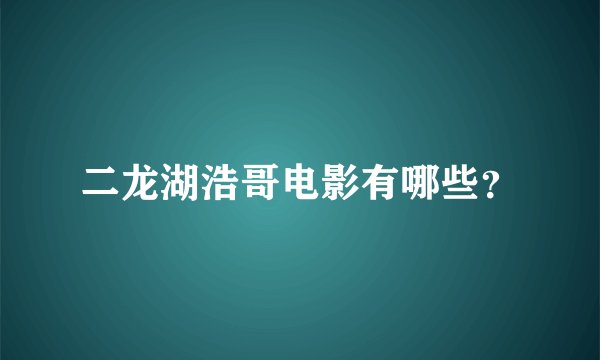 二龙湖浩哥电影有哪些？