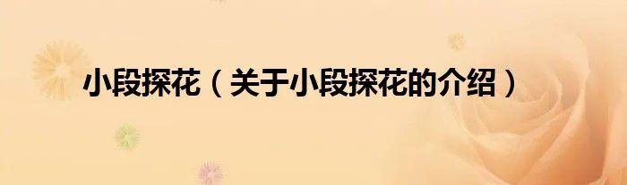 小段探花（关于小段探花的介绍）