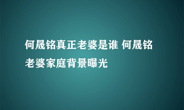 何晟铭真正老婆是谁 何晟铭老婆家庭背景曝光