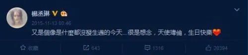 许玮伦38岁冥诞 杨丞琳发微博缅怀