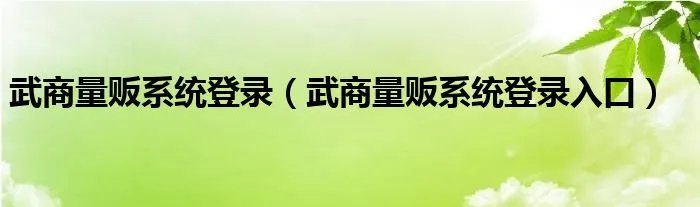 武商量贩系统登录（武商量贩系统登录入口）