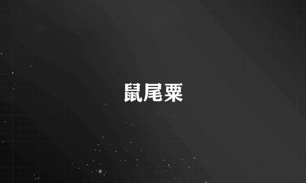 鼠尾粟