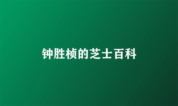 钟胜桢的芝士百科