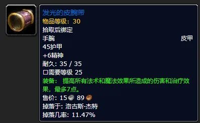 《魔兽世界》plus圣骑士装备推荐