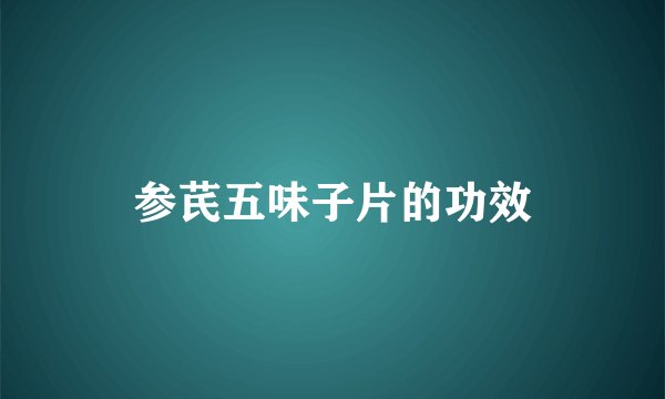 参芪五味子片的功效