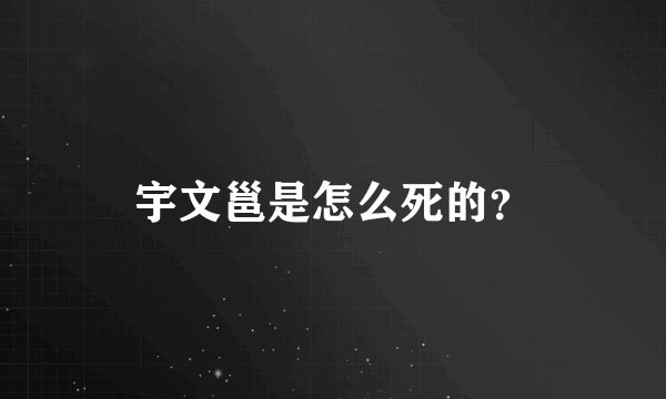 宇文邕是怎么死的？