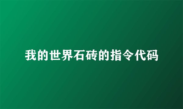 我的世界石砖的指令代码