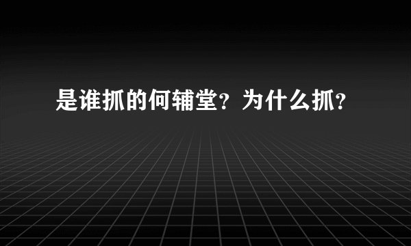 是谁抓的何辅堂？为什么抓？