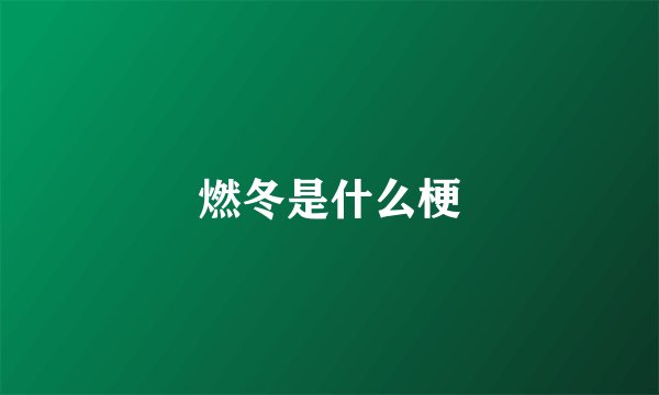燃冬是什么梗