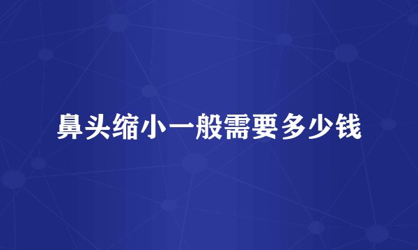 鼻头缩小一般需要多少钱